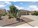 Landscaped front yard with a variety of native desert plants, leading to a charming stucco home at 26247 W Lone Cactus Dr, Buckeye, AZ 85396
