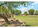 Scenic community park featuring lush green spaces, a playground, and mature trees for shade and recreation at 3310 W Chambers St, Phoenix, AZ 85041