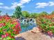 Scenic water feature with a small waterfall, surrounded by lush greenery and vibrant pink flowers at 42726 N Livingstone Way, Anthem, AZ 85086