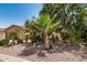 Well-manicured desert landscape features palm trees and mature desert vegetation at 4345 E Annette Dr, Phoenix, AZ 85032