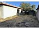 Backyard featuring a building and lots of foliage with a window for natural light at 564 N Santa Anna St, Mesa, AZ 85201