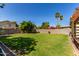 Spacious backyard with lush green grass and privacy fence, offering ample space for outdoor activities at 925 W Hudson Way, Gilbert, AZ 85233