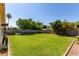 Well-manicured backyard with green grass, mature trees, and a privacy fence, providing a tranquil outdoor retreat at 925 W Hudson Way, Gilbert, AZ 85233