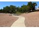 Winding community walking path surrounded by mature trees, creating a serene environment for exercise and relaxation at 925 W Hudson Way, Gilbert, AZ 85233