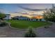 Large backyard with green grass, privacy landscaping, and picturesque mountain views at 11250 W Prospector Dr, Queen Creek, AZ 85144