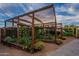 Beautiful backyard garden with raised beds, wooden shade structure, and lush plants at 11250 W Prospector Dr, Queen Creek, AZ 85144