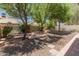Landscaped backyard featuring mature trees, gravel, and a brick-paved patio at 1606 N Apache Dr, Chandler, AZ 85244