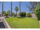 Private backyard featuring a lush green lawn, mature palm trees, and a fenced pool area at 1826 W Oriole Way, Chandler, AZ 85286