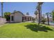 Large backyard with green grass, palm trees, and a fence, providing a private outdoor space at 1826 W Oriole Way, Chandler, AZ 85286