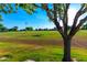 View of a green space featuring lush grass, trees, and sports field lighting at 18402 E Oak Hill Ln, Queen Creek, AZ 85142