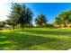 Expansive community green space featuring lush grass and mature trees, perfect for outdoor activities and relaxation at 18402 E Oak Hill Ln, Queen Creek, AZ 85142