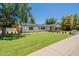 Well-maintained front yard with lush green lawn, mature trees, and charming curb appeal at 3651 N 49Th Pl, Phoenix, AZ 85018