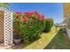 Exterior landscaping featuring green yard and bougainvillea at 4140 E Glenrosa Ave, Phoenix, AZ 85018