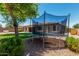 Backyard features a trampoline, green grass, and views of the house, creating a fun outdoor space at 465 E Frances Ln, Gilbert, AZ 85295