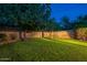 Private backyard with green grass, shade trees, and block fence provides a peaceful retreat at 7035 N 11Th Pl, Phoenix, AZ 85020