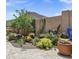 Lush backyard garden with vibrant plants, creating a peaceful and inviting outdoor space at 10310 N 135Th Way, Scottsdale, AZ 85259