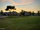 Expansive golf course view with lush green grass and scenic mountain views at sunset at 12042 S 44Th St, Phoenix, AZ 85044