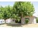 Charming single-story home with mature trees and a well-maintained lawn at 1412 W 7Th Pl, Tempe, AZ 85281
