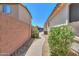 A tidy walkway along the side of the house, framed by vibrant greenery and a block wall for privacy at 2514 E Grand Canyon Dr, Chandler, AZ 85249
