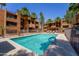 Community pool and sundeck surrounded by mature palm trees at 2625 E Indian School Rd # 206, Phoenix, AZ 85016