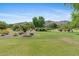 Lush backyard landscaping featuring a well-maintained lawn and mature trees at 3215 E Constance Way, Phoenix, AZ 85042