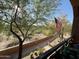 Balcony overlooking a desert landscape with lush trees, a path, cacti and an American flag at 3935 E Rough Rider Rd # 1066, Phoenix, AZ 85050