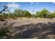 Outdoor basketball court surrounded by mature trees provides residents with recreational activities at 3935 E Rough Rider Rd # 1066, Phoenix, AZ 85050