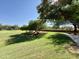 Expansive green space with mature trees, perfect for outdoor recreation and relaxation at 3935 E Rough Rider Rd # 1066, Phoenix, AZ 85050