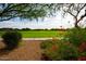 Scenic view of community grounds with lush greenery, flowers, trees and a serene atmosphere at 3935 E Rough Rider Rd # 1066, Phoenix, AZ 85050