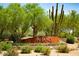 Welcome to Aviano! A beautiful community entrance with desert landscaping, native trees, and prominent signage at 3935 E Rough Rider Rd # 1066, Phoenix, AZ 85050