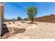 Expansive backyard with desert landscaping and a mature tree, providing a private outdoor space at 42098 W Balsa Dr, Maricopa, AZ 85138