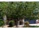 View of a home with a large tree in the front yard with rock and desert landscaping at 42098 W Balsa Dr, Maricopa, AZ 85138