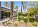 Professionally landscaped front yard with mature palm trees and modern hardscape accents at 4312 E Roma Ave, Phoenix, AZ 85018