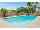 Sparkling swimming pool with diving board and spacious deck at 4684 W Tyson St, Chandler, AZ 85226