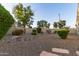 A gravel-covered backyard is enclosed by a fence and features decorative landscaping, including rocks and small trees at 6648 S Lyon Dr, Gilbert, AZ 85298
