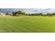 Expansive grassy field offers residents a place to exercise and enjoy the outdoors at 6648 S Lyon Dr, Gilbert, AZ 85298