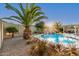 Sparkling pool surrounded by lush palm trees and desert plants, creating a tranquil backyard retreat at 6648 S Lyon Dr, Gilbert, AZ 85298