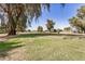 Expansive yard with lush green grass and mature trees, providing a serene outdoor space at 725 S Power Rd # 101, Mesa, AZ 85206
