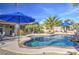 Backyard with a sparkling pool surrounded by mature palm trees, creating a tropical paradise at 1078 W Desert Aster Rd, San Tan Valley, AZ 85143