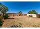 Spacious backyard featuring a brick wall providing privacy, and lush greenery, perfect for outdoor activities at 11518 W Dana Ln, Avondale, AZ 85392
