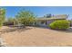 Spacious gravel backyard with a covered patio, mature trees, and blue single-story home at 12021 S Tomi Dr, Phoenix, AZ 85044