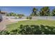 Lush backyard with green grass, privacy fence, and a sparkling pool provides the perfect outdoor retreat at 1444 E Boston St, Chandler, AZ 85225