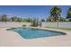 Private backyard pool with diving board, desert landscaping, and a basketball hoop at 1444 E Boston St, Chandler, AZ 85225