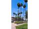 Beautiful front lawn featuring palm trees, manicured plants and flowers in front of well-maintained residential buildings at 17404 N 99Th Ave # 126, Sun City, AZ 85373