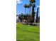 Beautifully maintained front lawn featuring palm trees and flowering shrubs in front of well-maintained residential buildings at 17404 N 99Th Ave # 126, Sun City, AZ 85373