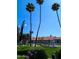 Lush landscaping featuring palm trees and manicured plants in front of well-maintained residential buildings at 17404 N 99Th Ave # 126, Sun City, AZ 85373