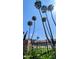 Lush landscaping with a wrought iron fence in front of well-maintained residential buildings at 17404 N 99Th Ave # 126, Sun City, AZ 85373