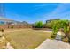 Spacious backyard with a terraced garden bed, showcasing a tranquil outdoor setting perfect for relaxation and gardening at 24533 N 19Th Ter, Phoenix, AZ 85024