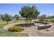 Serene community area with mature trees, desert landscaping, and seating area at 2514 E Pleasant Ln, Phoenix, AZ 85042