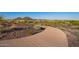 Concrete walking path in a community park, backed by hills and mountain views at 32096 N 132Nd Dr, Peoria, AZ 85383